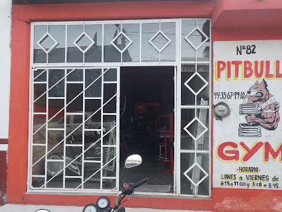 Pitbull Gym - colonia, Pino, Los Parajes, 58930 Zinapecuaro de Figueroa, Mich., Mexico