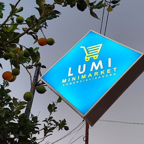 Comercializadora Lumi