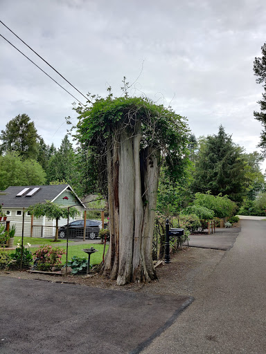 Park «Machias Trailhead Park», reviews and photos, 1626 Virginia St, Snohomish, WA 98290, USA