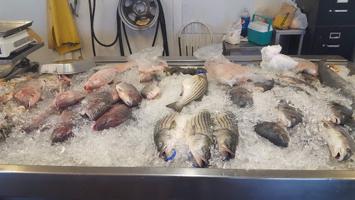 Fish processing Wilmington