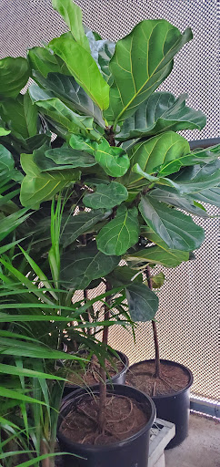 Home Improvement Store «The Home Depot», reviews and photos, 1590 W 49th St, Hialeah, FL 33012, USA