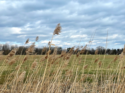 Park «Anson B. Nixon Park», reviews and photos, 404 N Walnut Rd, Kennett Square, PA 19348, USA