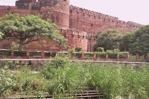 Delhi Agra Jaipur Tour image