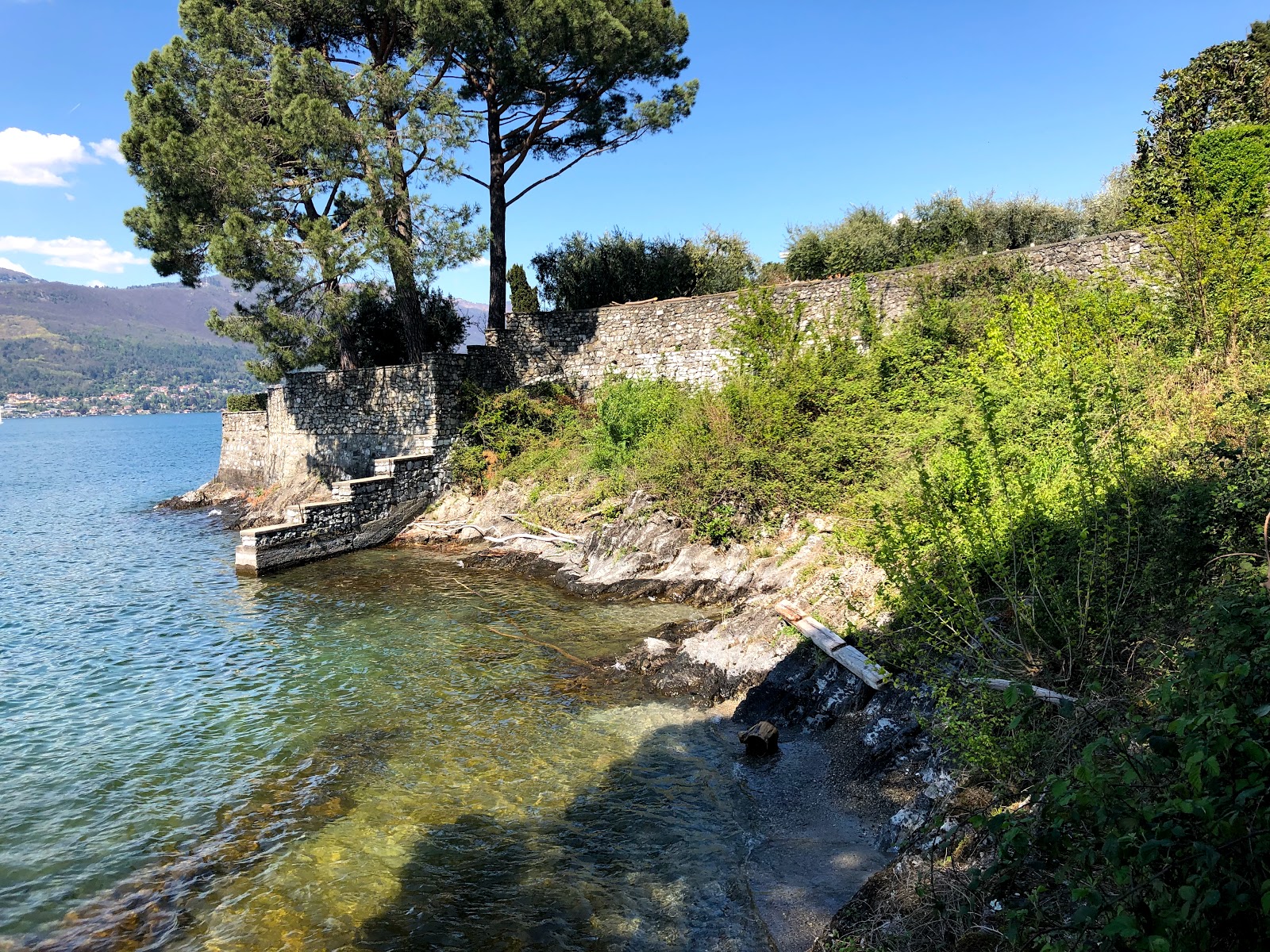 Spiaggia delle Olive的照片 带有碧绿色纯水表面