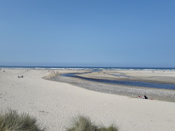 Zdjęcie Falcarragh Beach położony w naturalnym obszarze