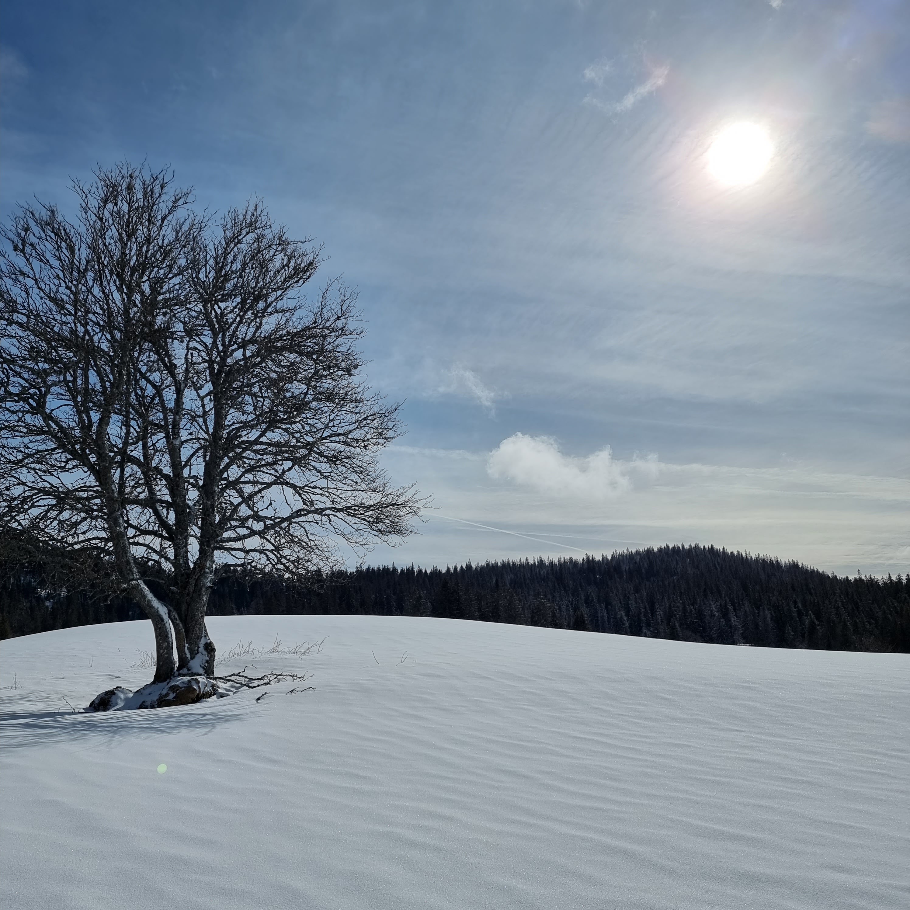 Photo n° 2 de l'avis de SCHWEITZER.a fait le 28/02/2022 à 18:12