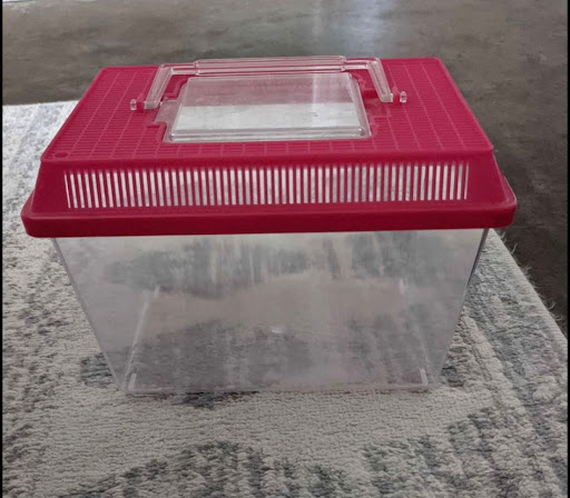 Pet Store «Petsense Pine Bluff», reviews and photos, 5514 S Olive St, Pine Bluff, AR 71603, USA