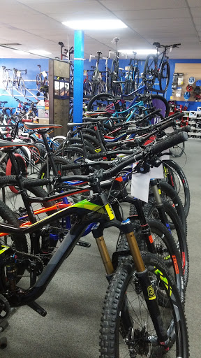 Bicycle Store «Hillsboro Bicycle Center», reviews and photos, 3330 W Hillsboro Blvd, Deerfield Beach, FL 33442, USA