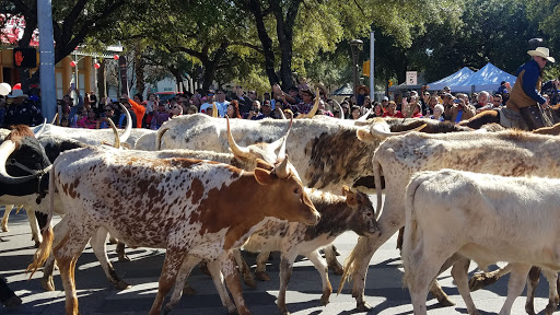 Park «Milam Park», reviews and photos, 500 W Commerce St, San Antonio, TX 78207, USA