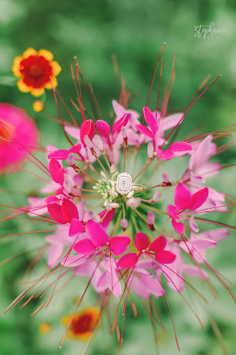 Jewelry Store «J Brooks Jewelers», reviews and photos, 152 E Winchester St, Murray, UT 84107, USA