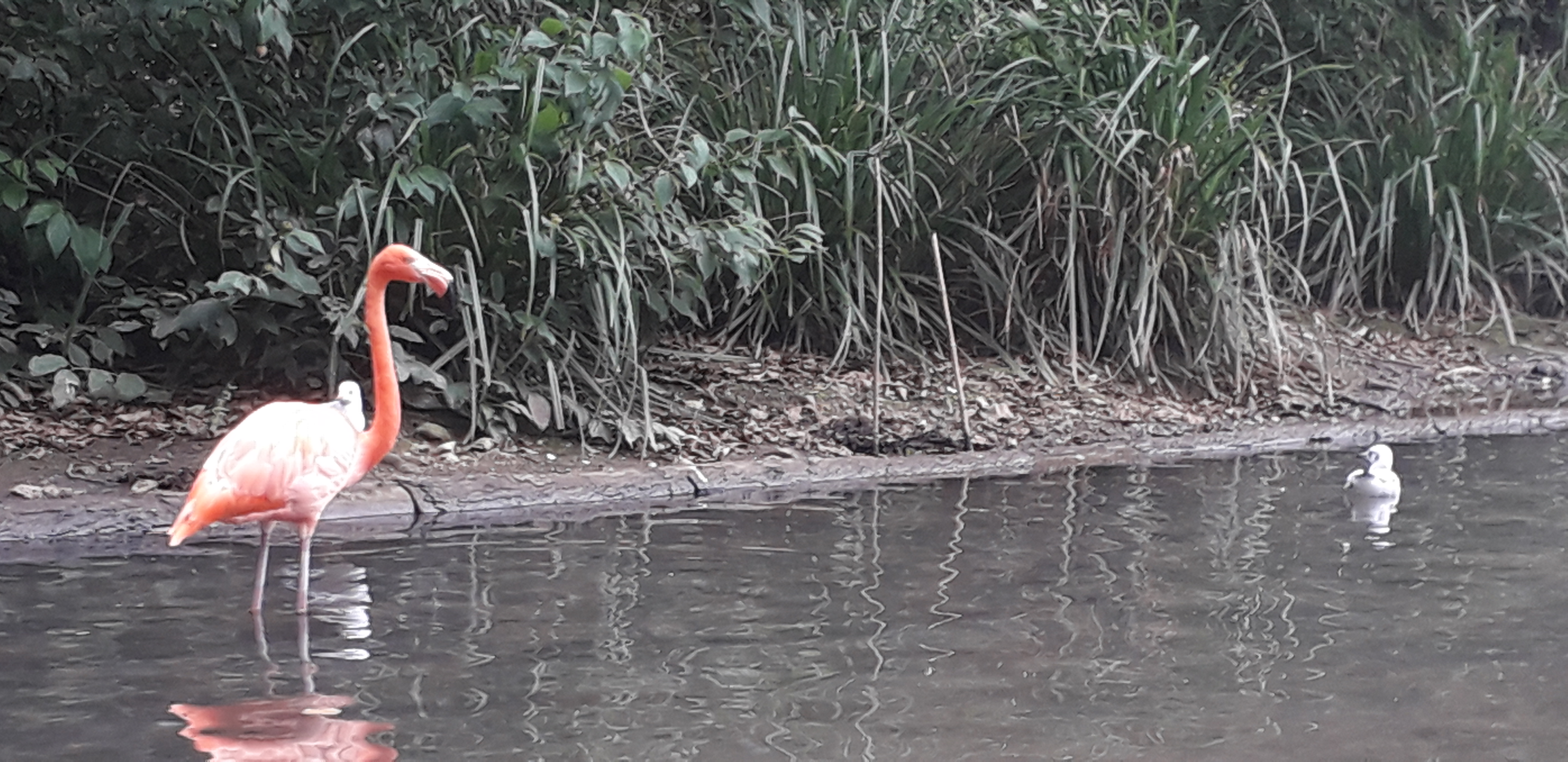 Photo n° 3 de l'avis de lilou.i fait le 19/09/2020 à 16:48