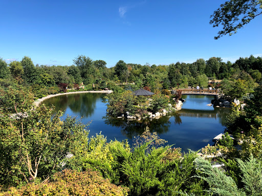 Gift Shop «Meijer Gardens Gift Shop», reviews and photos, 1000 E Beltline Ave NE, Grand Rapids, MI 49525, USA