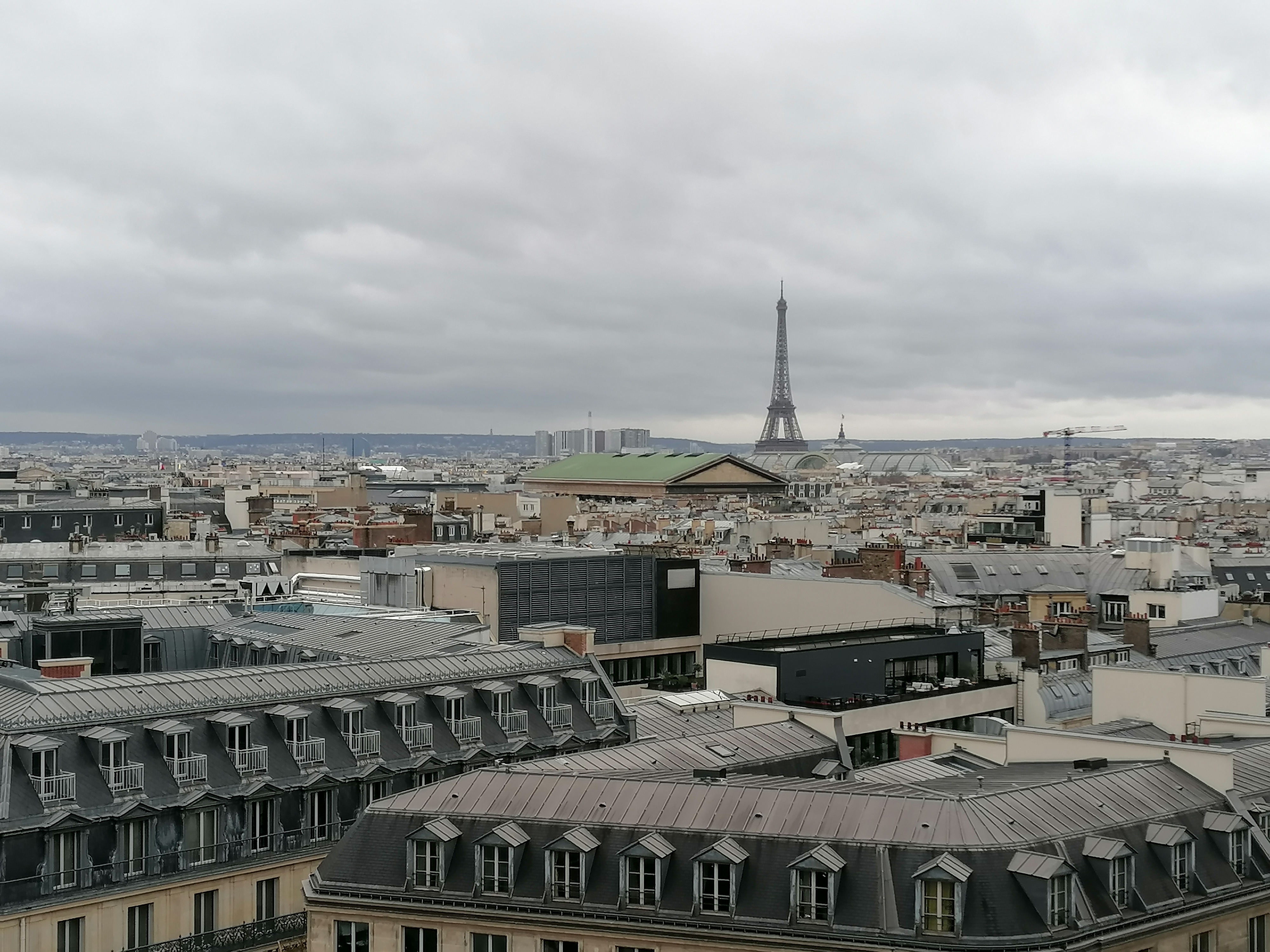 Photo n° 3 de l'avis de Hermann.e fait le 29/12/2023 à 18:36