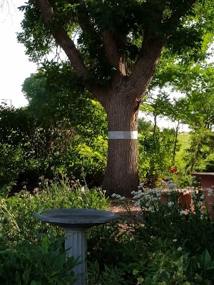 Broomfield Community Park - photo 37