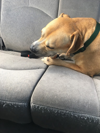 Pet Supply Store «Pet Supply Center», reviews and photos, 3558 Webber St, Sarasota, FL 34239, USA