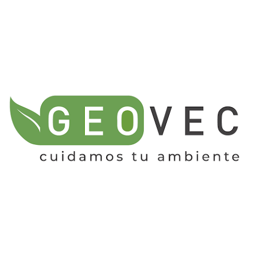 Geovec - Concepción