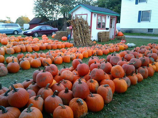 Wells Pumpkin Farm