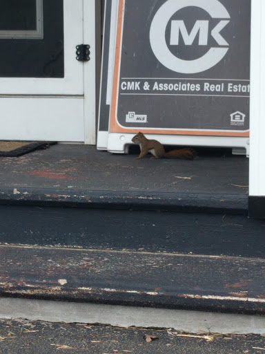 Gift Shop «Speculator Department Store», reviews and photos, 2901 NY-8, Speculator, NY 12164, USA