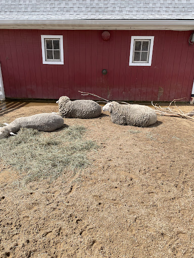 Zoo «Cosley Zoo», reviews and photos, 1356 N Gary Ave, Wheaton, IL 60187, USA