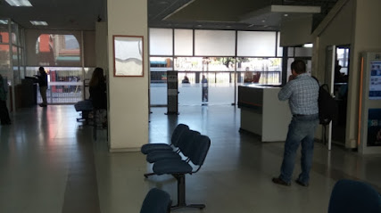 Revizori Contabilidad y Tributario