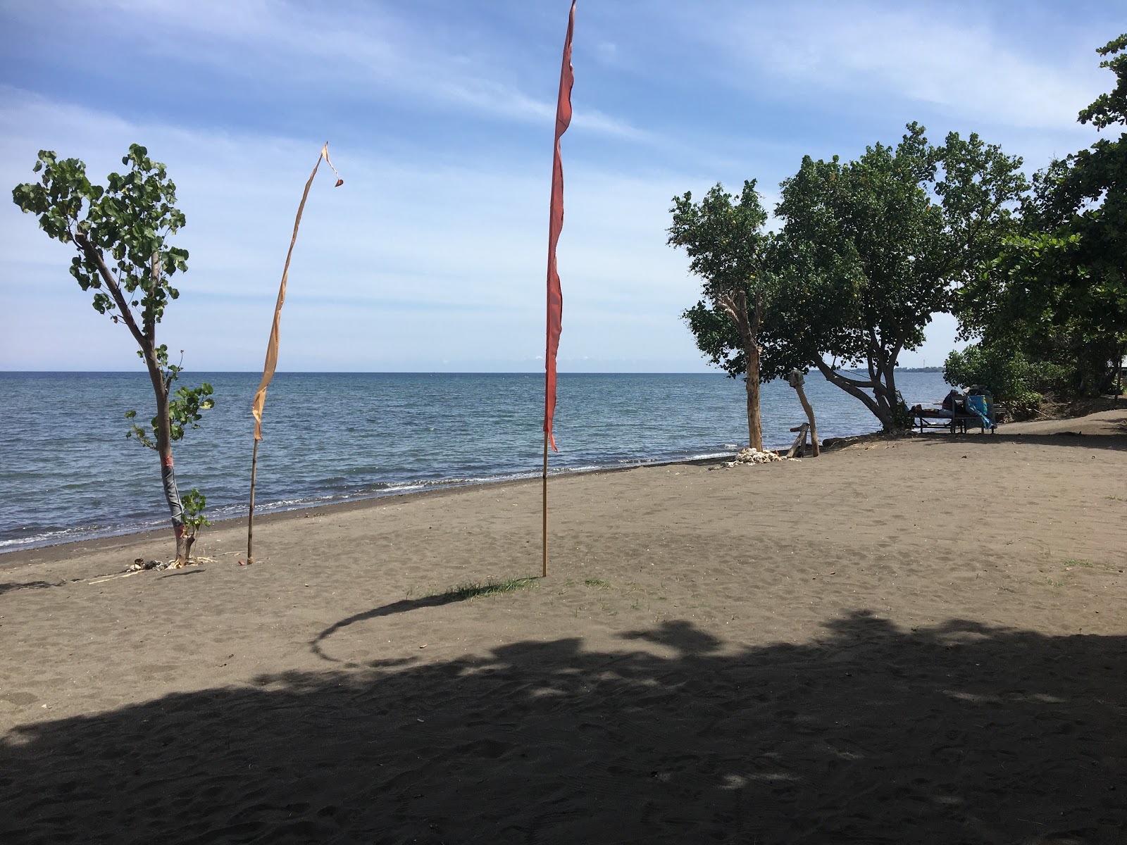 Φωτογραφία του Ganesha Beach με καθαρό μπλε νερό επιφάνεια