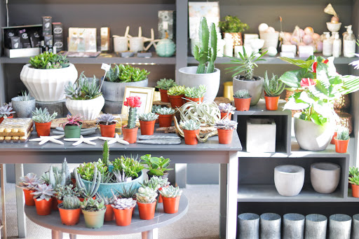 Enchanted Florist, 1616 Lavaca St, Austin, TX 78701, USA, 