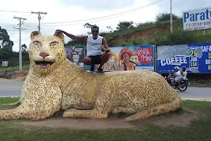 Monumento Toca da Onça image