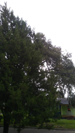 Park «Panama Park», reviews and photos, 6912 Buffalo Ave, Jacksonville, FL 32208, USA