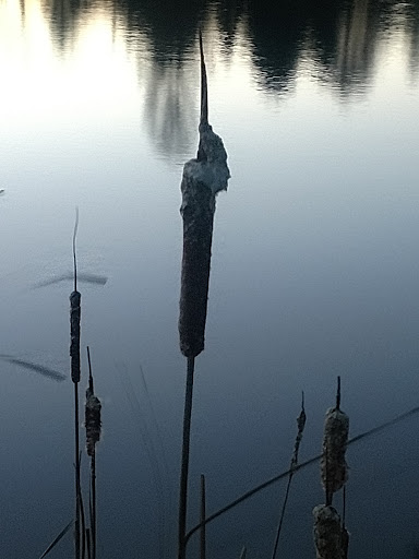 Lodge «The Lodge at Liberty Forge», reviews and photos, 3804 Lisburn Rd, Mechanicsburg, PA 17055, USA