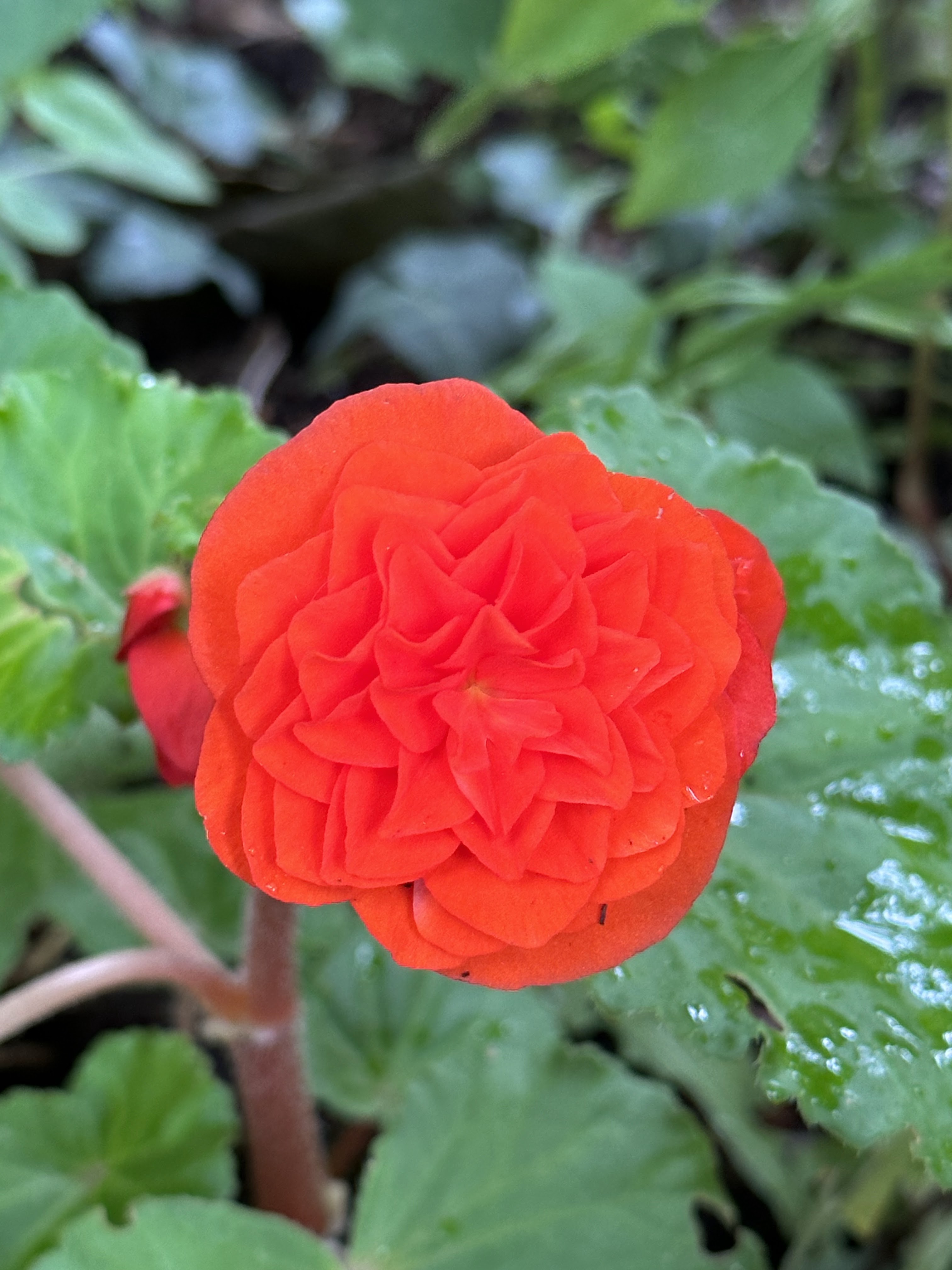 Photo n° 5 de l'avis de P.d fait le 28/08/2023 à 06:51