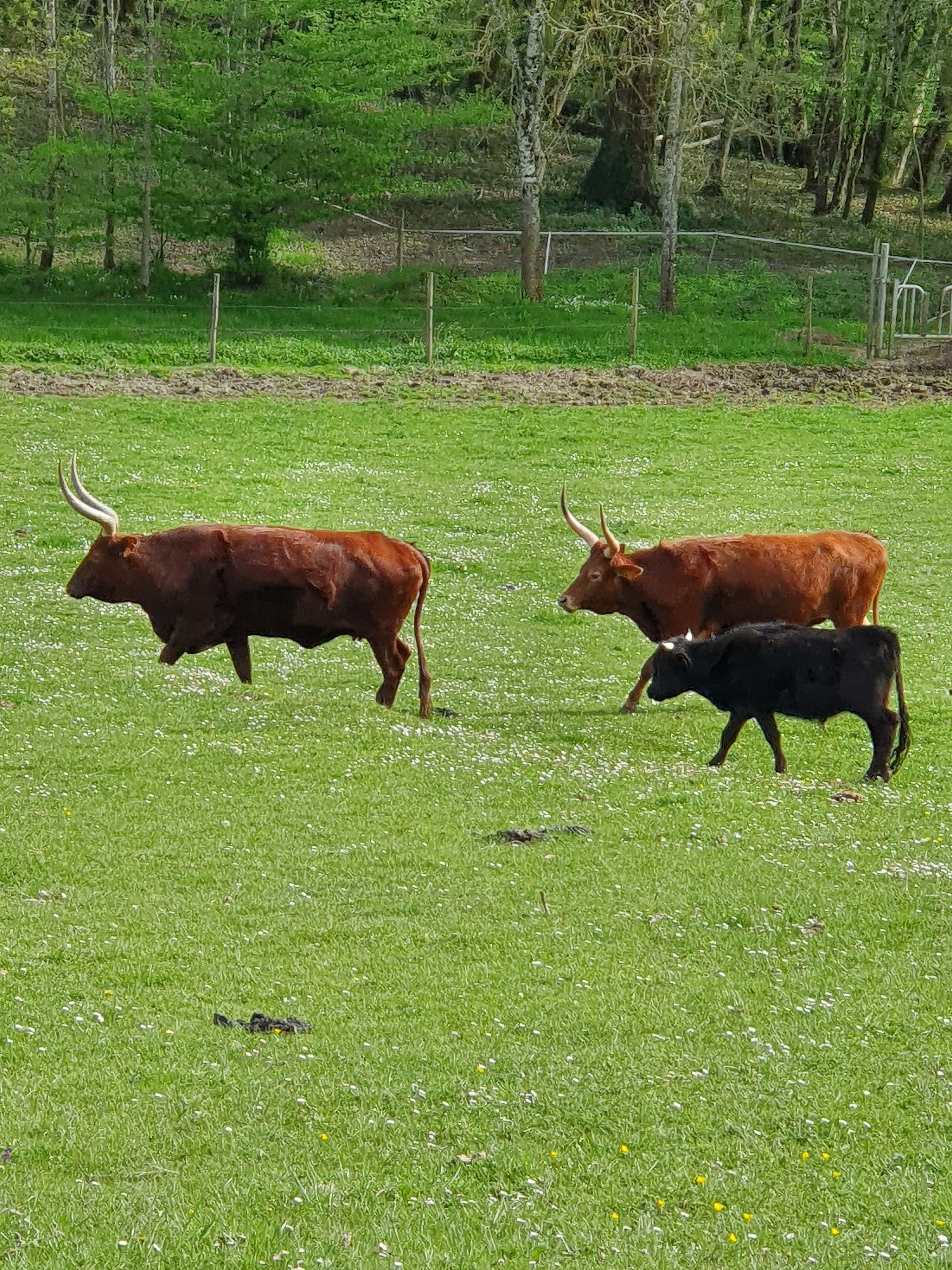 Photo n° 1 de l'avis de laurane.a fait le 11/04/2022 à 15:48