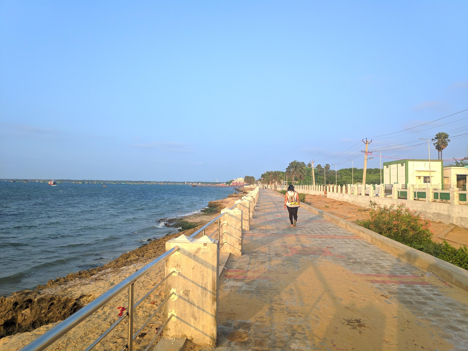 Sangumal Beach, Rameswaram photo #9