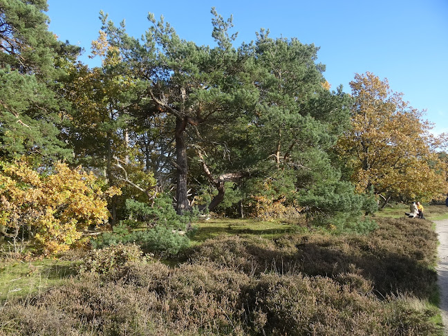 Museumsvej, 3120 Dronningmølle, Danmark