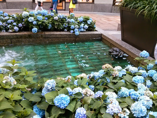 Historical Landmark «The Woolworth Building», reviews and photos, 233 Broadway, New York, NY 10007, USA