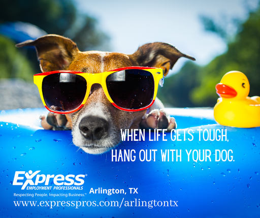 Employment Agency «Express Employment Professionals», reviews and photos, 3701 S Cooper St #233, Arlington, TX 76015, USA