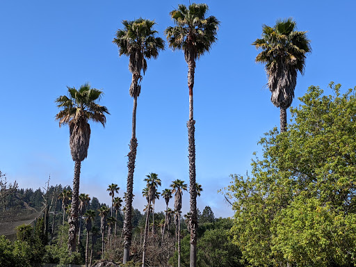 Golf Club «Valley Garden Golf Course», reviews and photos, 263 Mt Hermon Rd, Scotts Valley, CA 95066, USA