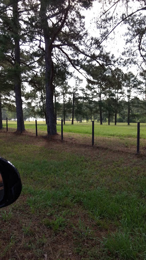 American Restaurant «Cracker Barrel Old Country Store», reviews and photos, 1301 League Line Rd, Conroe, TX 77304, USA