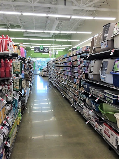 Pet Supply Store «Pet Supplies Plus», reviews and photos, 2801 Wade Hampton Blvd #100, Taylors, SC 29687, USA