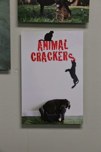  «Animal Crackers», reviews and photos, 280 NE 2nd St, Miami, FL 33132, USA