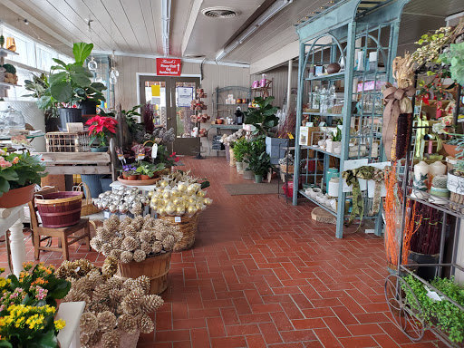 Florist «Kinsch Village Florist & Garden Center», reviews and photos, 301 Johnson St, Palatine, IL 60067, USA