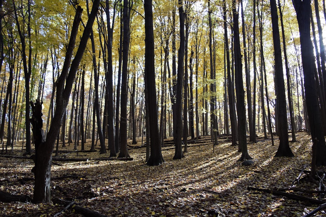 Bird Hills Nature Area