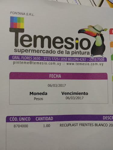 Comentarios y opiniones de Pinturería Temesio