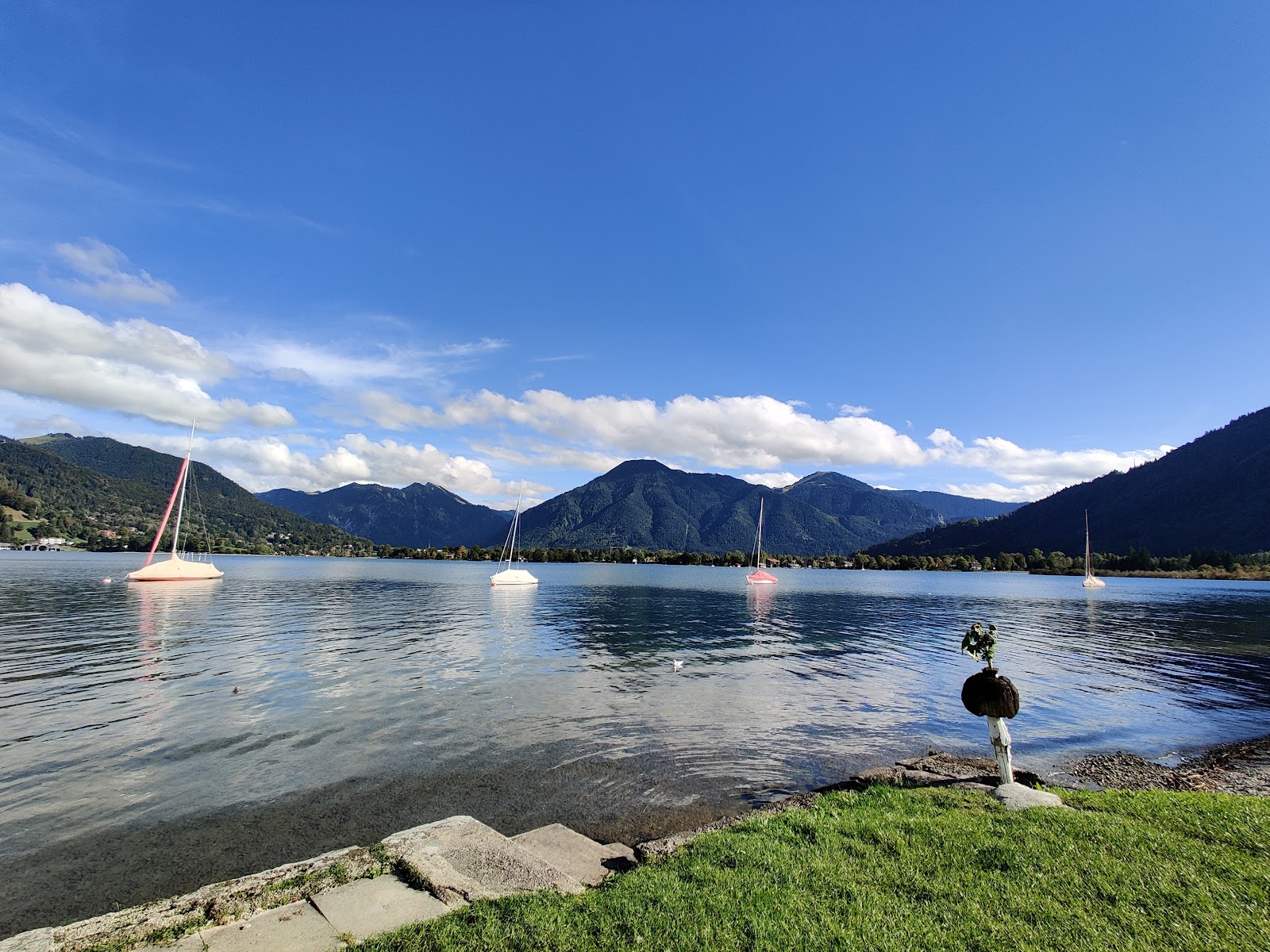 Badeplatz Seerose'in fotoğrafı çok temiz temizlik seviyesi ile