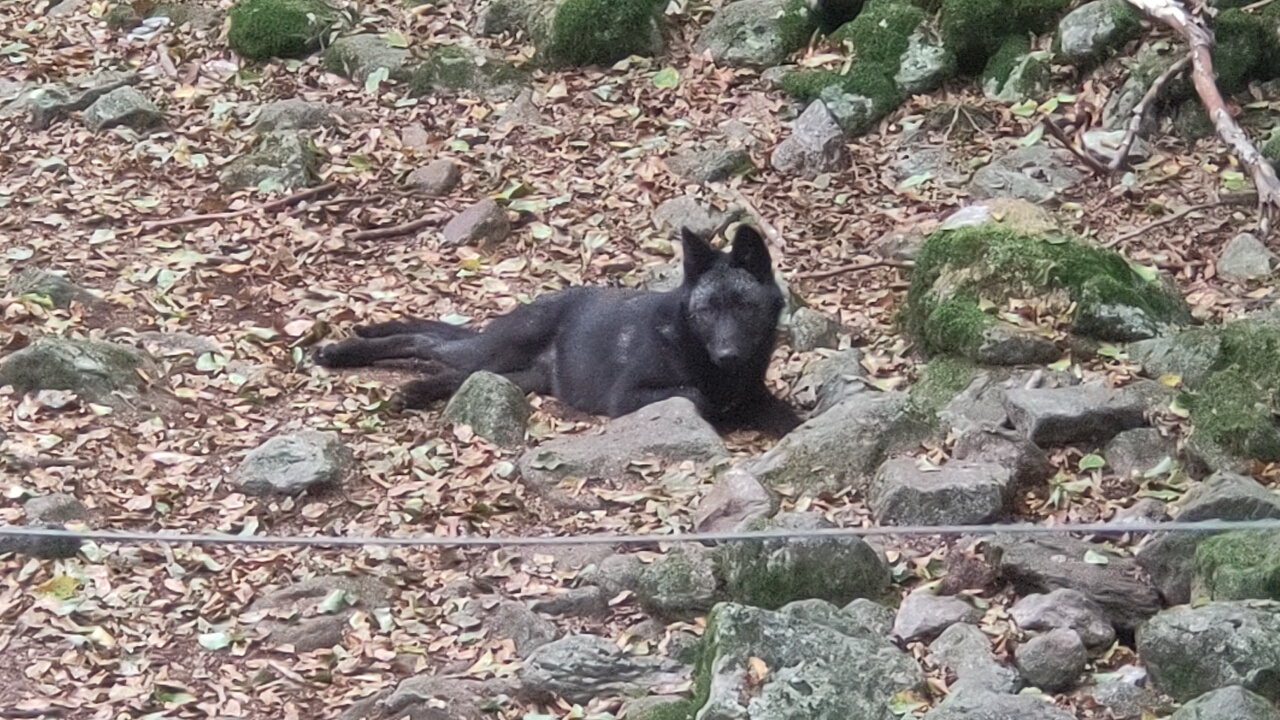 Photo n° 2 de l'avis de Damien.a fait le 05/09/2023 à 15:24