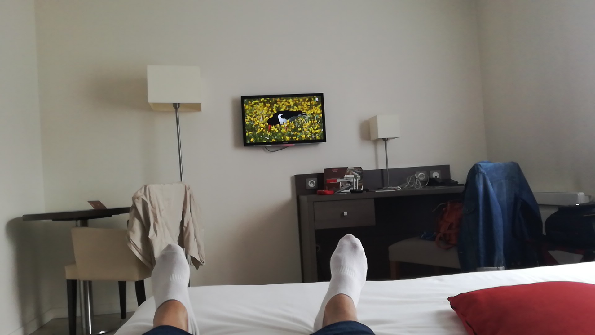 Photo n° 1 de l'avis de Luis.o fait le 14/08/2019 à 14:06