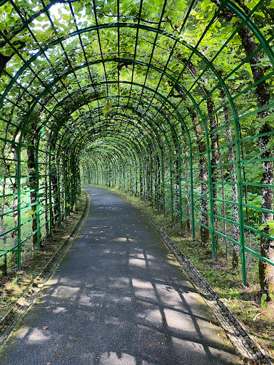 Cruise Agency «Sun Travel Inc», reviews and photos, 4420 N Mesa St, El Paso, TX 79902, USA