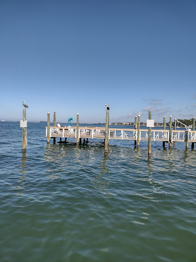 Park «Edgewater Park», reviews and photos, 51 Main St, Dunedin, FL 34698, USA