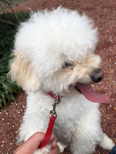 Car Dealer «Roberts Toyota», reviews and photos