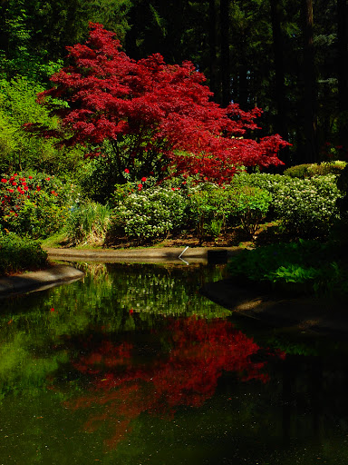 Place of Worship «The Grotto», reviews and photos, 8840 NE Skidmore St, Portland, OR 97220, USA