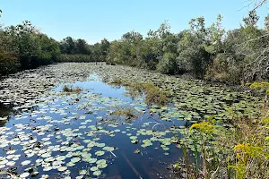 Sheldon Lake State Park & Environmental Learning Center image